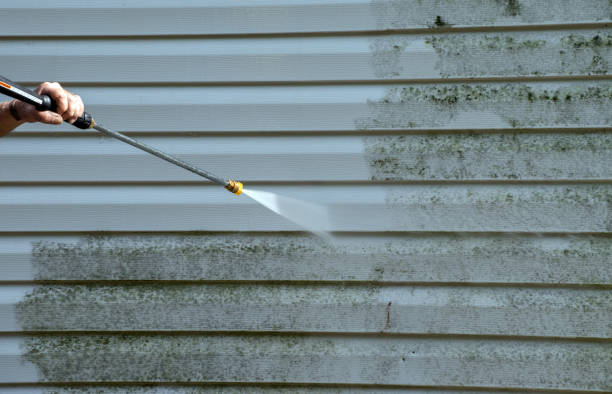 Local Pressure Washing Services in Dallas, TX