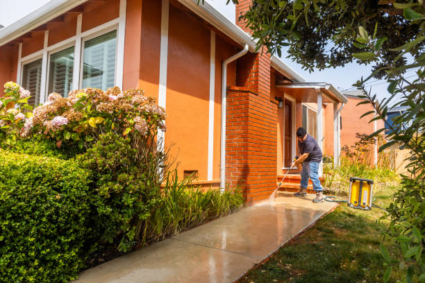 Local Pressure Washing Services in Dallas, TX